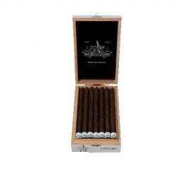 262 Paradigm Lancero Cigars