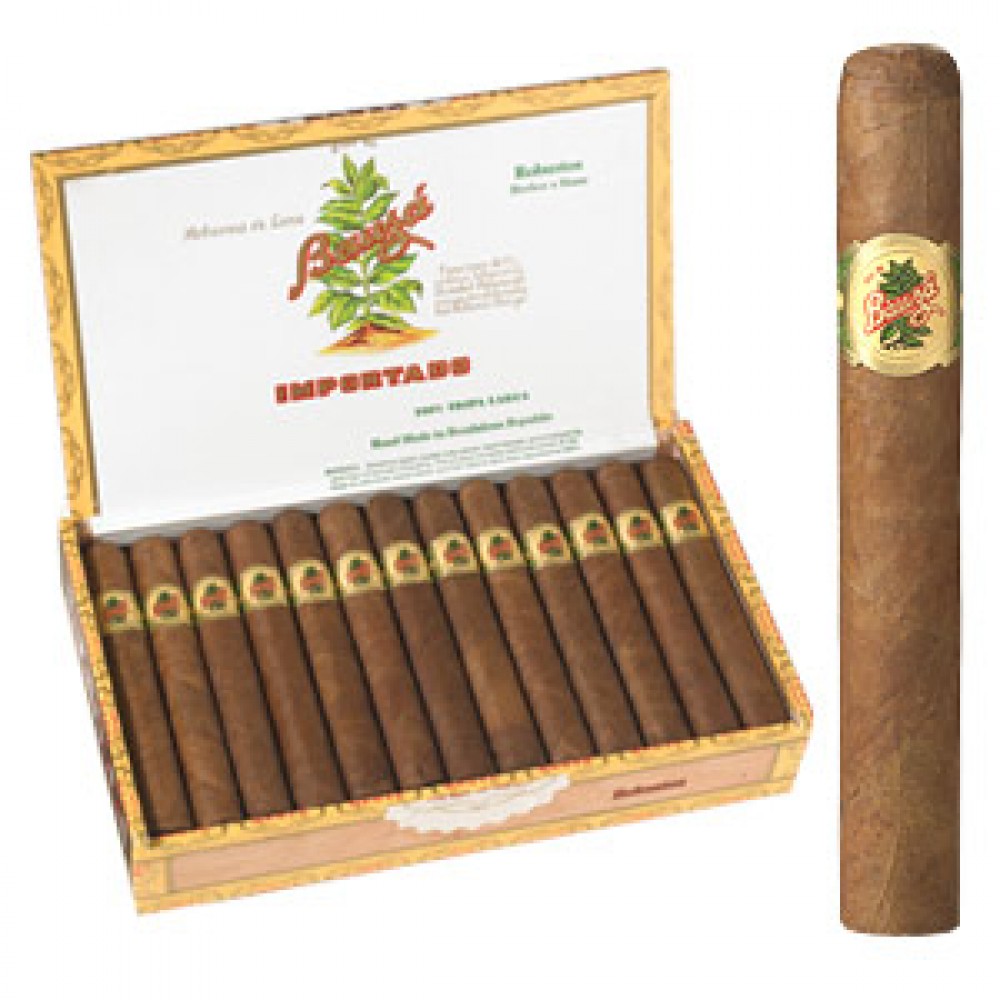Bauza Robusto Natural