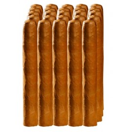 Planet Cigars Premium Long Filler Connecticut Robusto Bundle