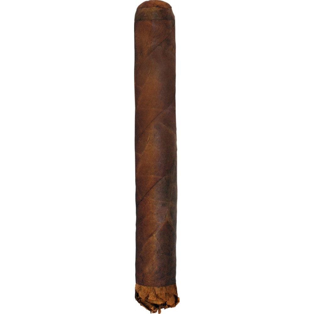 Shaggy Toro Habano