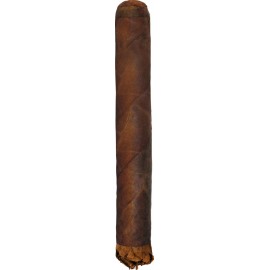 Shaggy Toro Habano