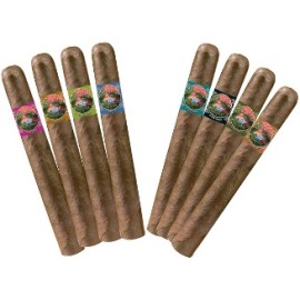 South Beach Flavors Variety Pack of 10 Cigars
