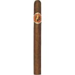 Avo Xo Maestoso Cigars