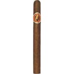 Avo Xo Maestoso Cigars